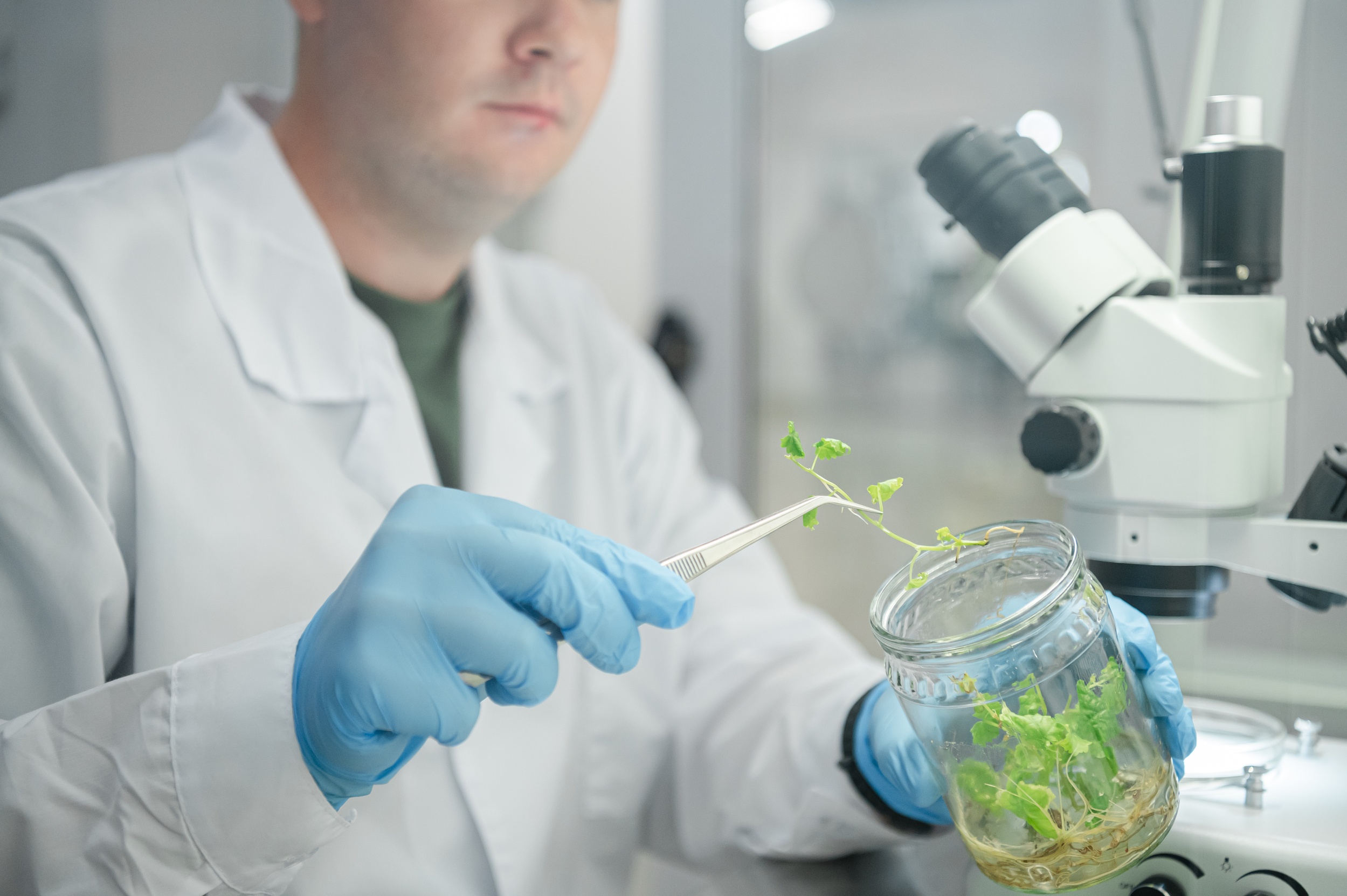 Генная и клеточная инженерия в биотехнологии растений