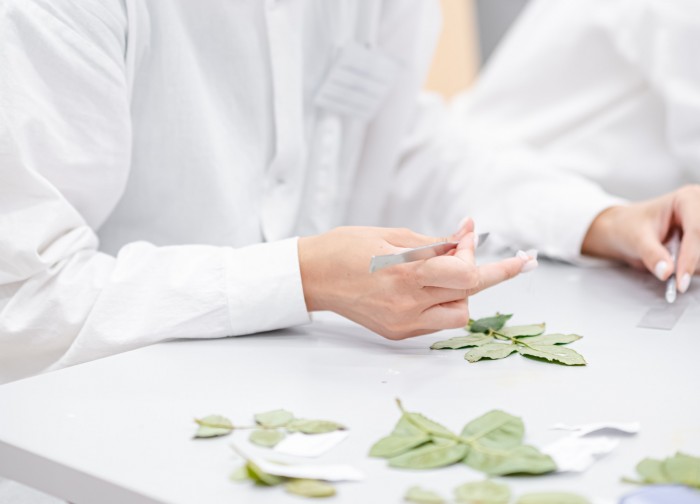 Биология и биотехнология растений