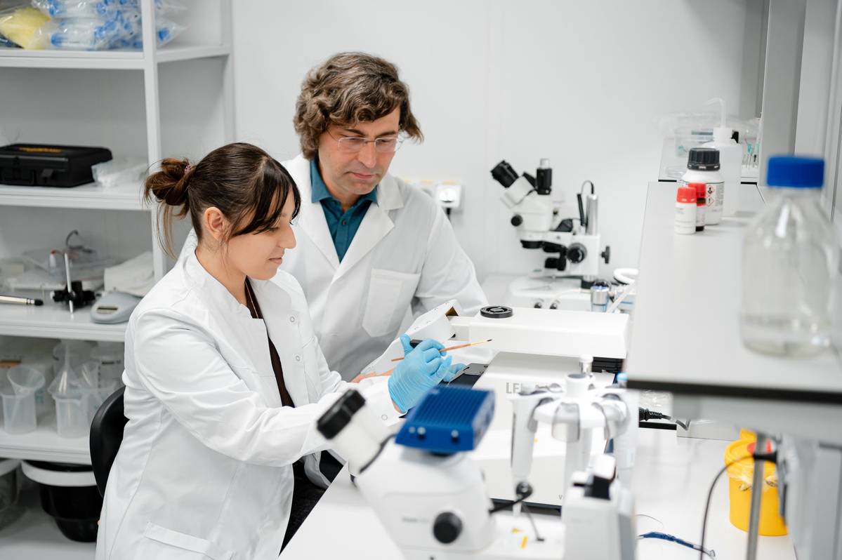 Нейрофизиологи создали подробную карту работы спинного мозга при ходьбе