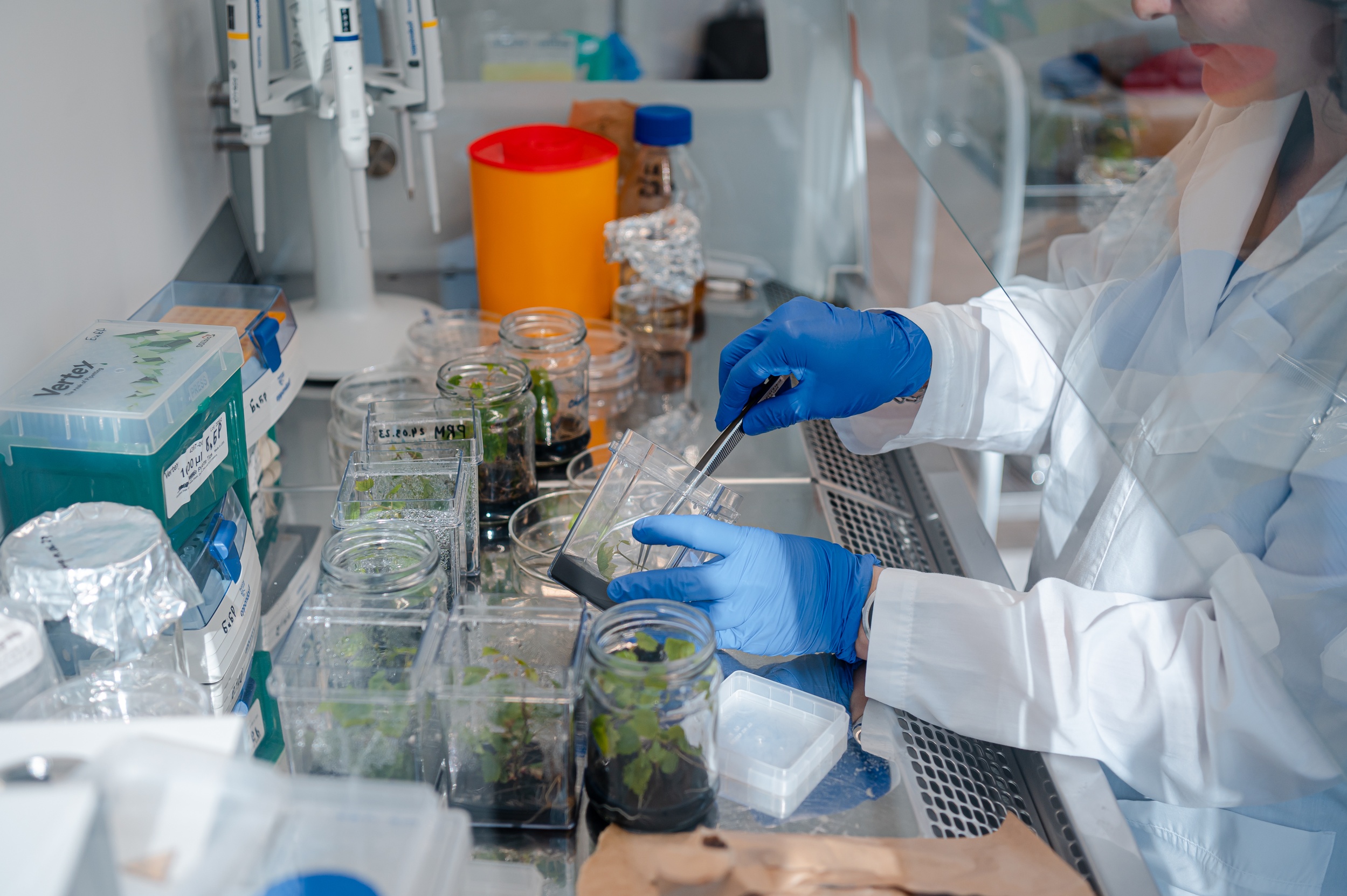 Промышленная биотехнология