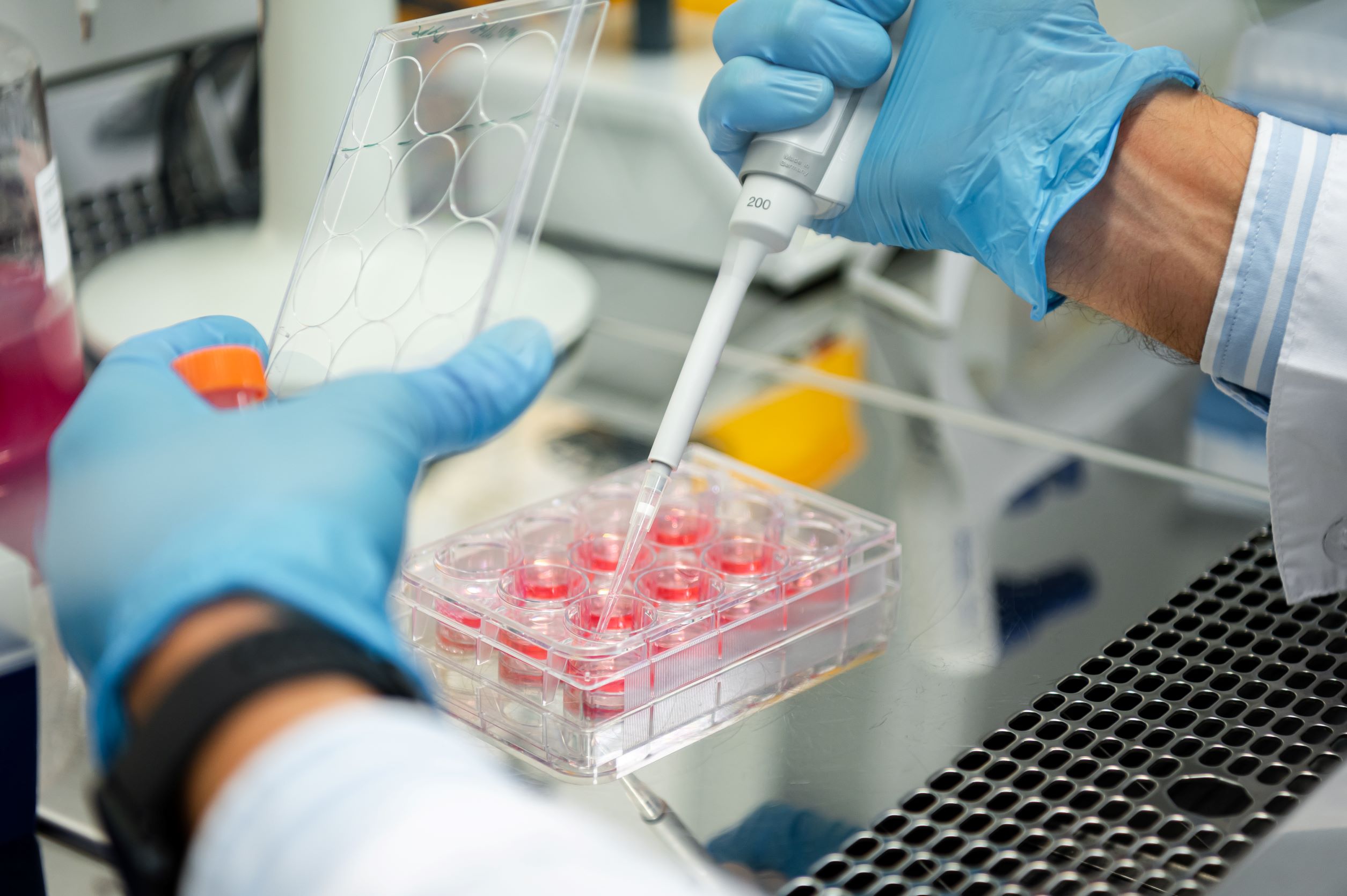 Сириус запустил новый проект по клеточной терапии рака