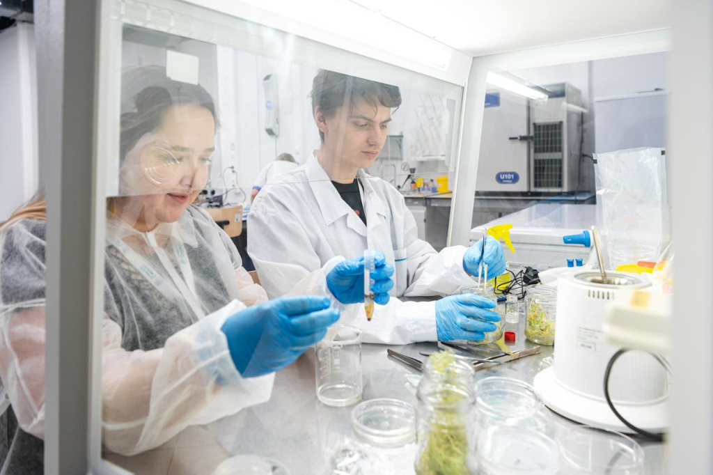 photo_2025-04-10_17-53-31-22.jpg photo_2025-04-10_17-53-31-22.jpg